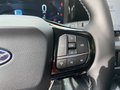 Daumennagel 21 - Ford Transit Courier Kastenwagen BEV