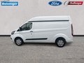 Daumennagel 3 - Ford Transit Custom Kasten 320 L2H2 Trend