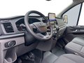 Daumennagel 8 - Ford Transit Custom Kasten 320 L2H2 Trend