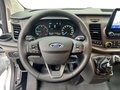 Daumennagel 9 - Ford Transit Custom Kasten 320 L2H2 Trend