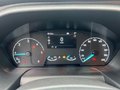 Daumennagel 14 - Ford Transit Custom Kasten 320 L2H2 Trend