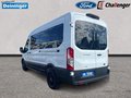 Daumennagel 2 - Ford Transit 2.0 EcoBlue Mild-Hybrid Kombi Trail 350 L3H2 NAVI/RFK ACC DOPPEL-KLIMA beh. WSS SITZHEIZUNG PDC 9-SITZE