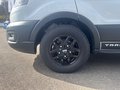Daumennagel 24 - Ford Transit 2.0 EcoBlue Mild-Hybrid Kombi Trail 350 L3H2 NAVI/RFK ACC DOPPEL-KLIMA beh. WSS SITZHEIZUNG PDC 9-SITZE