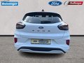Daumennagel 5 - Ford Puma St-Line Winterpaket