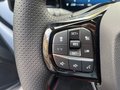 Daumennagel 19 - Ford Puma St-Line Winterpaket
