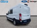 Daumennagel 3 - Ford Transit Kasten DoKa Trend 350 L2H2 AHK AUDIO&DAB&RFK SICHT-PAKET KLIMA TEMPOMAT PDC 6-SITZE