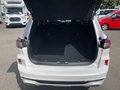 Daumennagel 24 - Ford Kuga 2.5 Duratec Plug-In Hybrid Vignale Autom. NAVI/B&O/DAB FAHRASSISTENZ/TECHNOLOGIE/WINTER-PAKET PANORAMA-SCHIEBEDACH PDC