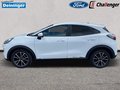 Daumennagel 2 - Ford Puma 1.0 l EcoBoost Hybrid (MHEV) Titanium Design RADIO&DAB SICHERHEITS/KOMFORT/WINTER-PAKET