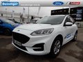 Daumennagel 1 - Ford Kuga 2.5 l Duratec Plug-In Hybrid ST-Line Autom. FAHRERASSISTENZ/WINTER-PAKET