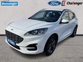 Daumennagel 6 - Ford Kuga 2.5 l Duratec Plug-In Hybrid ST-Line Autom. NAVI/DAB FAHRASSISTENZ/WINTER-PAKET