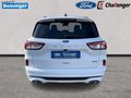 Daumennagel 7 - Ford Kuga 2.5 l Duratec Plug-In Hybrid ST-Line Autom. NAVI/DAB FAHRASSISTENZ/WINTER-PAKET