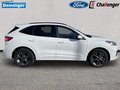 Daumennagel 8 - Ford Kuga 2.5 l Duratec Plug-In Hybrid ST-Line Autom. NAVI/DAB FAHRASSISTENZ/WINTER-PAKET
