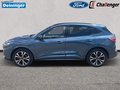 Daumennagel 3 - Ford Kuga 2.5 l Duratec Plug-In Hybrid (PHEV) ST-Line X Autom. NAVI/B&O/DAB AHK el. HECKKLAPPE ST-STYLING/WINTER-PAKET LED-SCHEINWERFER