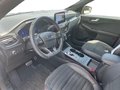 Daumennagel 10 - Ford Kuga 2.5 l Duratec Plug-In Hybrid (PHEV) ST-Line X Autom. NAVI/B&O/DAB AHK el. HECKKLAPPE ST-STYLING/WINTER-PAKET LED-SCHEINWERFER