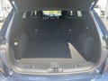 Daumennagel 24 - Ford Kuga 2.5 l Duratec Plug-In Hybrid (PHEV) ST-Line X Autom. NAVI/B&O/DAB AHK el. HECKKLAPPE ST-STYLING/WINTER-PAKET LED-SCHEINWERFER