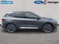 Daumennagel 6 - Ford Kuga Active X PHEV