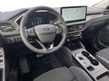 Daumennagel 10 - Ford Kuga Active X PHEV