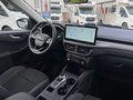 Daumennagel 13 - Ford Kuga Active X PHEV