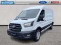 Daumennagel 1 - Ford Transit 350L3 Trend Hartholz Boden