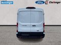 Daumennagel 5 - Ford Transit 350L3 Trend Hartholz Boden