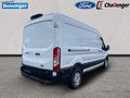 Daumennagel 6 - Ford Transit 350L3 Trend Hartholz Boden