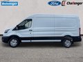 Daumennagel 3 - Ford Transit 350L3 Trend Hartholz Boden