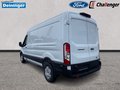 Daumennagel 4 - Ford Transit 350L3 Trend Hartholz Boden