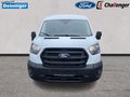 Daumennagel 9 - Ford Transit 350L3 Trend Hartholz Boden