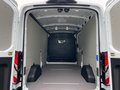 Daumennagel 23 - Ford Transit 350L3 Trend Hartholz Boden