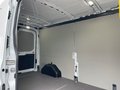 Daumennagel 22 - Ford Transit 350L3 Trend Hartholz Boden