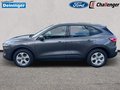 Daumennagel 6 - Ford Kuga 2.5 l Duratec Plug-In Hybrid Cool & Connect Autom. NAVI&DAB WINTER-PAKET TEMPOMAT KLIMAAUTOMATIK LMF 17``
