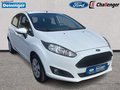 Daumennagel 6 - Ford Fiesta 1.0 l EcoBoost Celebration AUDIO/CD KLIMA EASY-DRIVER/WINTER-PAKET