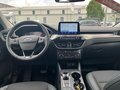 Daumennagel 14 - Ford Kuga 2.5 l Duratec PHEV Plug-In Hybrid Titanium X NAVI/DAB/B&O el. HECKKLAPPE WINTER-PAKET RUECKFAHR&FRONTKAMERA TEMPOMAT PDC