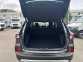Daumennagel 9 - Ford Kuga 2.5 l Duratec PHEV Plug-In Hybrid Titanium X NAVI/DAB/B&O el. HECKKLAPPE WINTER-PAKET RUECKFAHR&FRONTKAMERA TEMPOMAT PDC