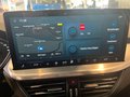 Daumennagel 14 - Ford Focus Titanium
