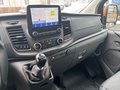 Daumennagel 16 - Ford Transit Custom Kasten Trend 300 L2H1 MS-RT-UMBAU NAVI&DAB&RFK AHK BI-XENON ACC LMF 20``PDC