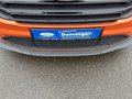 Daumennagel 22 - Ford Transit Custom Kasten Trend 300 L2H1 MS-RT-UMBAU NAVI&DAB&RFK AHK BI-XENON ACC LMF 20``PDC