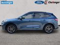 Daumennagel 2 - Ford Kuga 2.5 l Duratec Plug-In Hybrid ST-Line X Autom. NAVI/DAB/B&O AHK FAHRASSISTENZ/WINTER/ST-STYLING-PAKET el. HECKKLAPPE