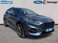 Daumennagel 7 - Ford Kuga 2.5 l Duratec Plug-In Hybrid ST-Line X Autom. NAVI/DAB/B&O AHK FAHRASSISTENZ/WINTER/ST-STYLING-PAKET el. HECKKLAPPE