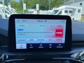Daumennagel 17 - Ford Kuga 2.5 l Duratec Plug-In Hybrid ST-Line X Autom. NAVI/DAB/B&O AHK FAHRASSISTENZ/WINTER/ST-STYLING-PAKET el. HECKKLAPPE
