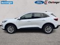Daumennagel 4 - Ford Kuga 2.5 Duratec Hybrid (FHEV) Titanium Autom. AHK FAHRER-ASSISTENZ/WINTER-PAKET