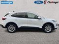 Daumennagel 8 - Ford Kuga 2.5 Duratec Hybrid (FHEV) Titanium Autom. AHK FAHRER-ASSISTENZ/WINTER-PAKET
