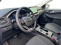 Daumennagel 11 - Ford Kuga 2.5 Duratec Hybrid (FHEV) Titanium Autom. AHK FAHRER-ASSISTENZ/WINTER-PAKET