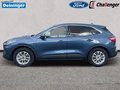 Daumennagel 3 - Ford Kuga 2.5 l Duratec Plug-In Hybrid Titanium Autom. NAVI/DAB AHK FAHRASSISTENZ-PAKET el. HECKKLAPPE