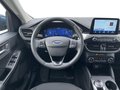 Daumennagel 11 - Ford Kuga 2.5 l Duratec Plug-In Hybrid Titanium Autom. NAVI/DAB AHK FAHRASSISTENZ-PAKET el. HECKKLAPPE