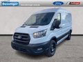 Daumennagel 1 - Ford Transit 350L2 Trend