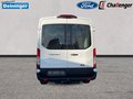 Daumennagel 4 - Ford Transit 350L2 Trend