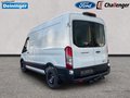 Daumennagel 3 - Ford Transit 350L2 Trend