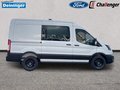 Daumennagel 6 - Ford Transit 350L2 Trend