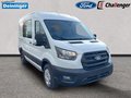 Daumennagel 7 - Ford Transit 350L2 Trend